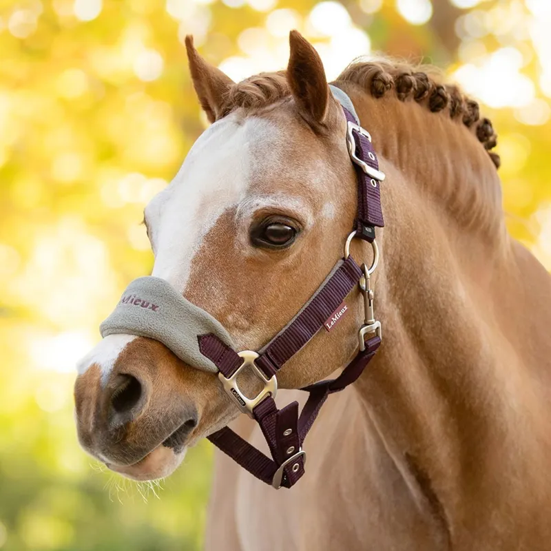 LeMieux Mini Vogue Halter and Lead Rope - Damson