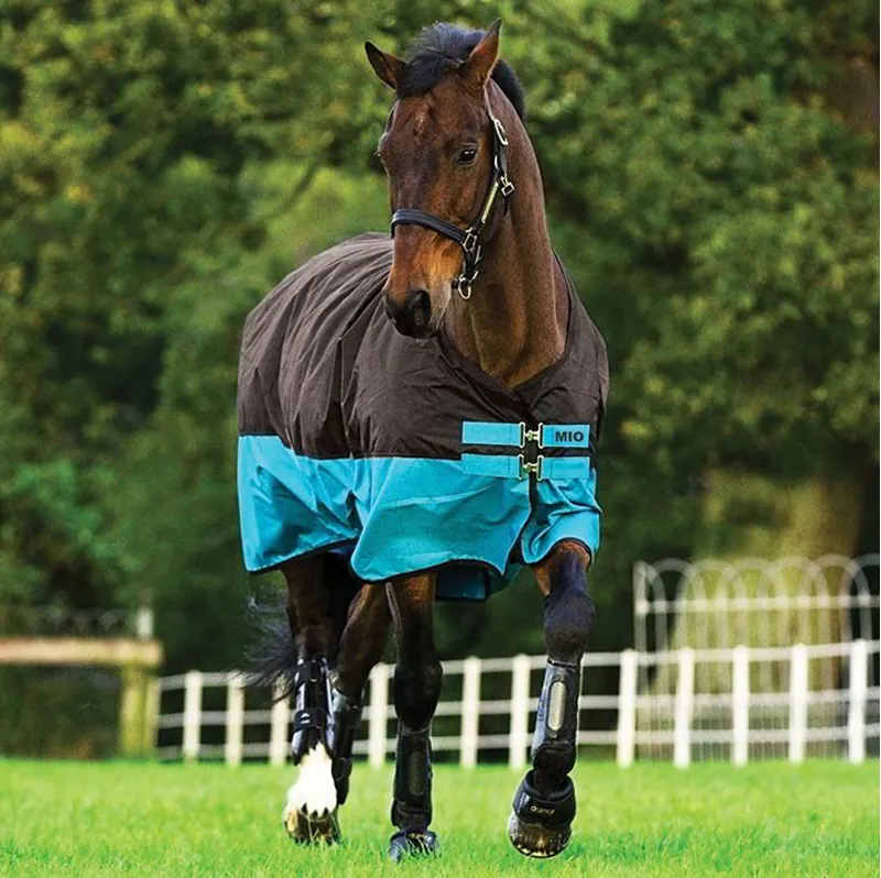 Mio Standard Neck 200g Turnout Blanket - Black/Turquoise