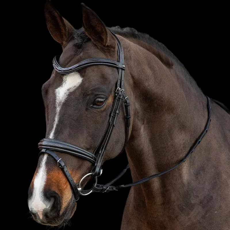 Schockemohle Monza F Removable Flash Bridle - Black/Cream/Silver-2