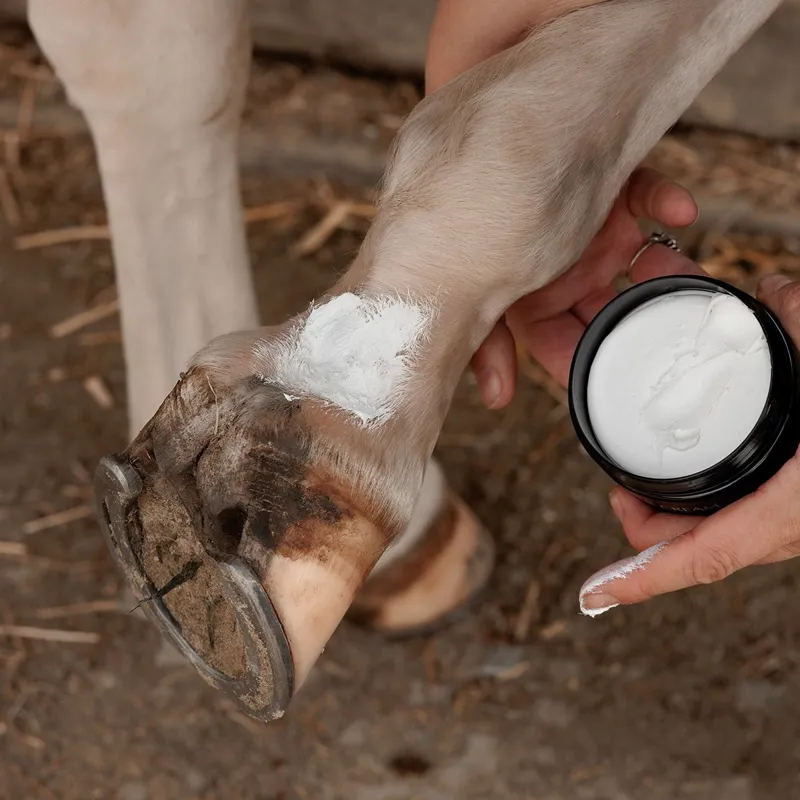 Grooming Deluxe Mud Fever Cream Plus-1