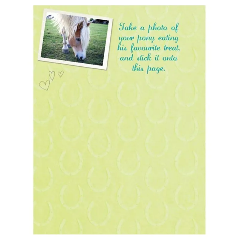 Bree Merryn My Special Pony Record Book-4