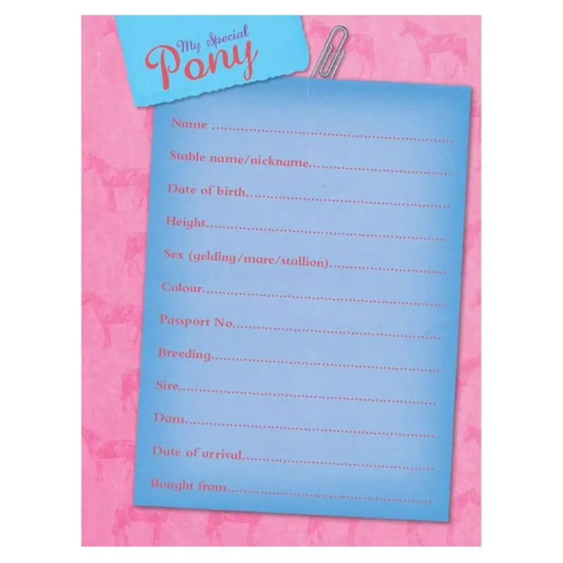 Bree Merryn My Special Pony Record Book-3