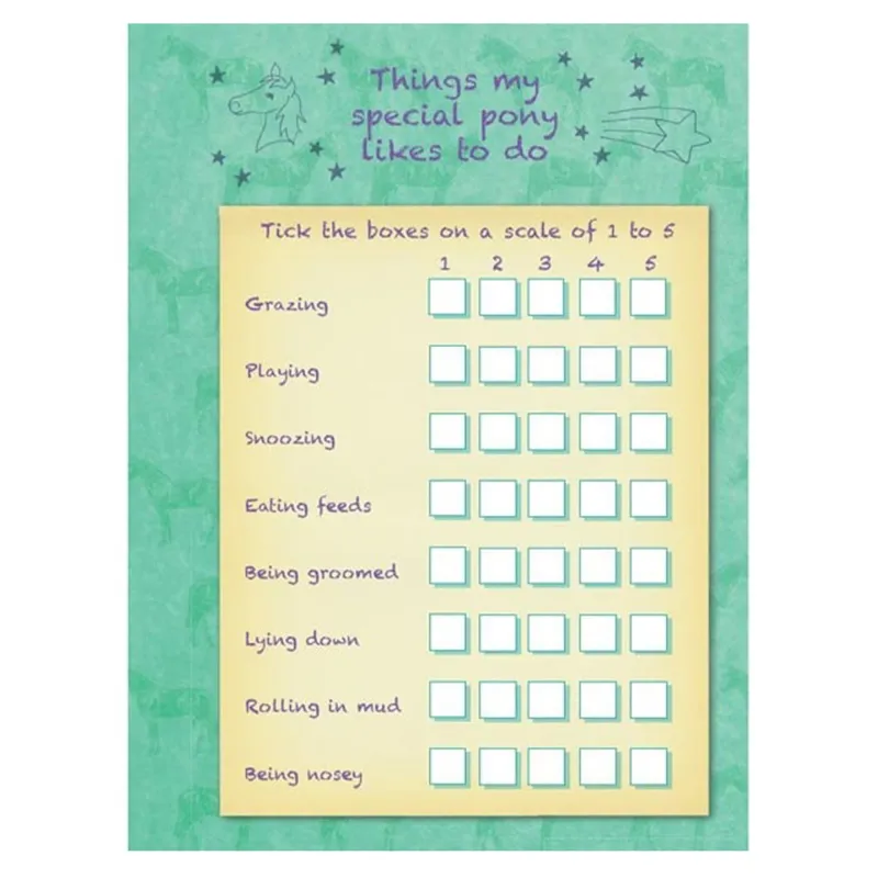 Bree Merryn My Special Pony Record Book-5
