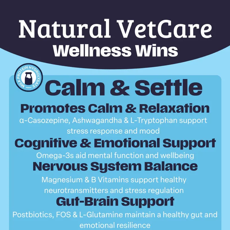 NAF NVC Calm and Settle-2