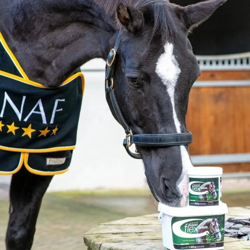 NAF Superflex Senior Powder-2