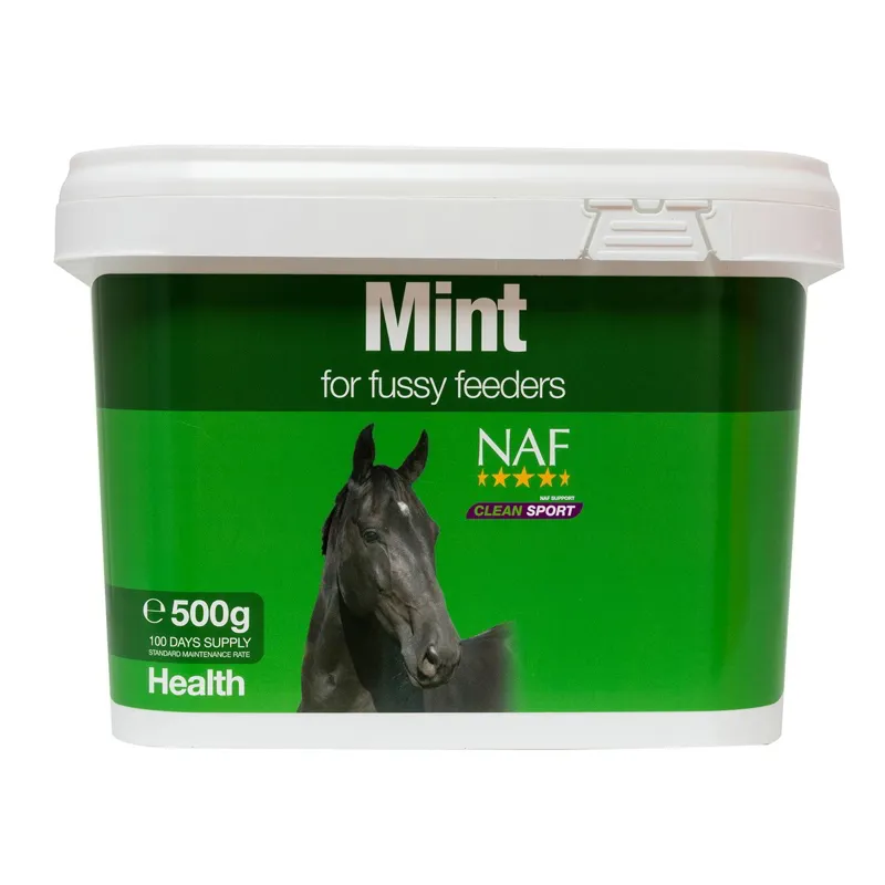 NAF Mint - 500g-1