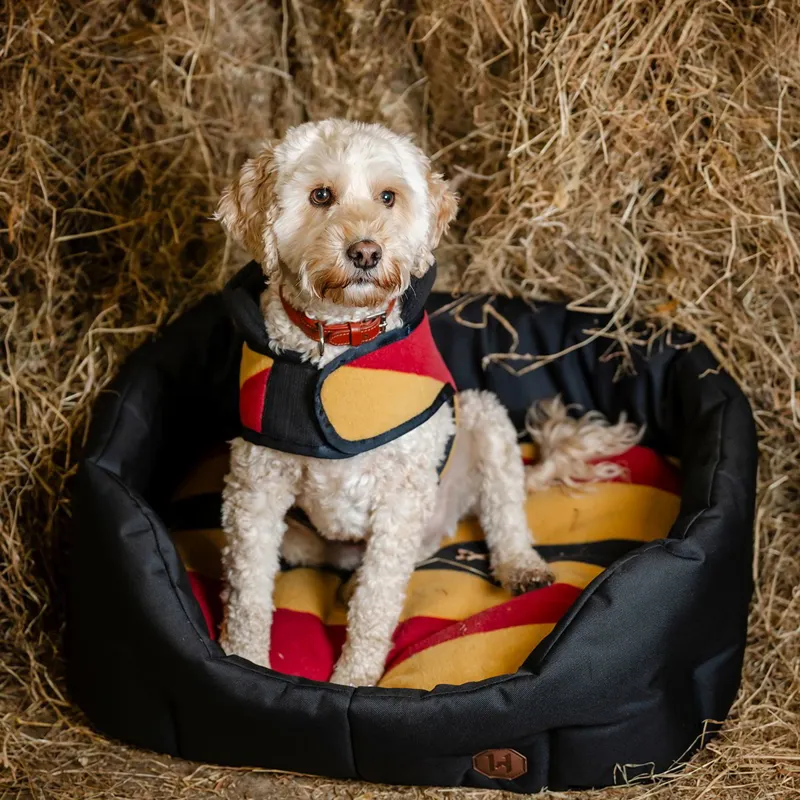 Horseware Newmarket Dog Bed - Witney Gold-4