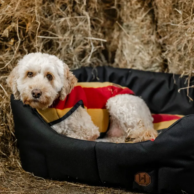 Horseware Newmarket Dog Bed - Witney Gold-1