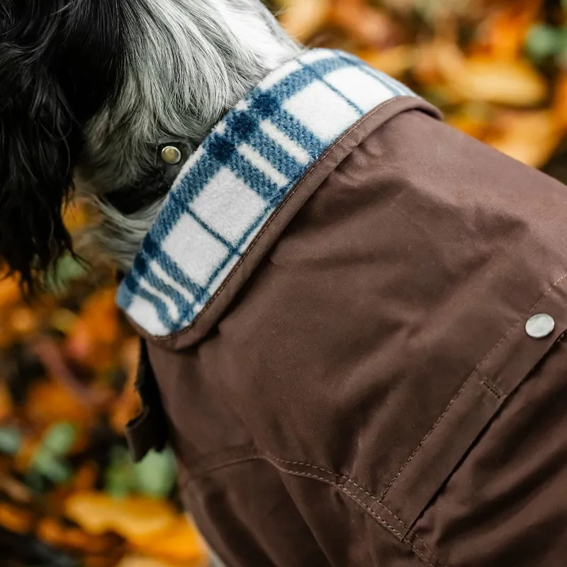 Horseware Newmarket Heritage Dog Coat - Brown/Witney Navy-1