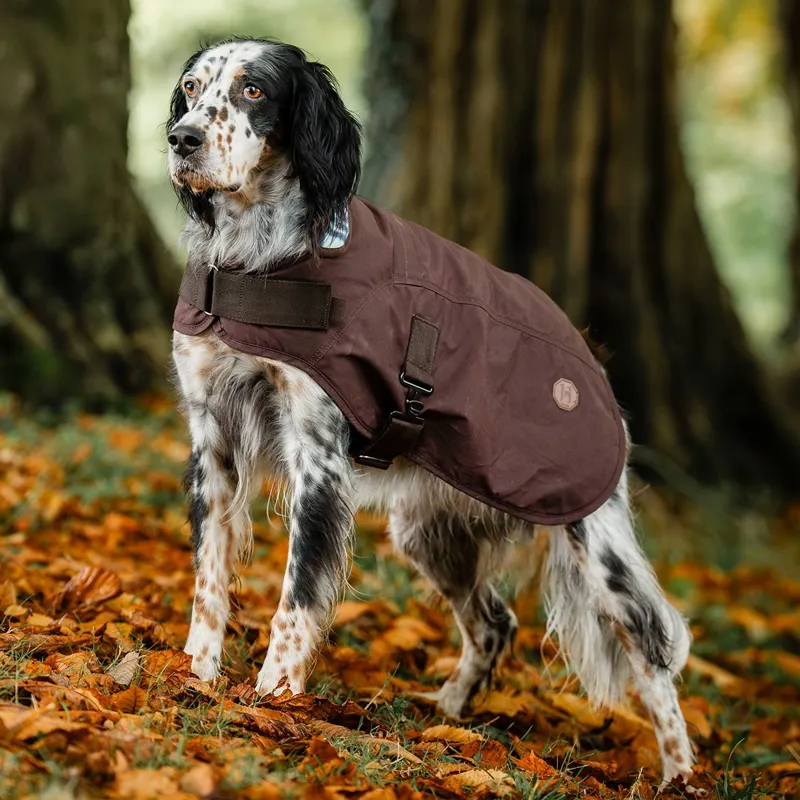 Horseware Newmarket Heritage Dog Coat - Brown/Witney Navy