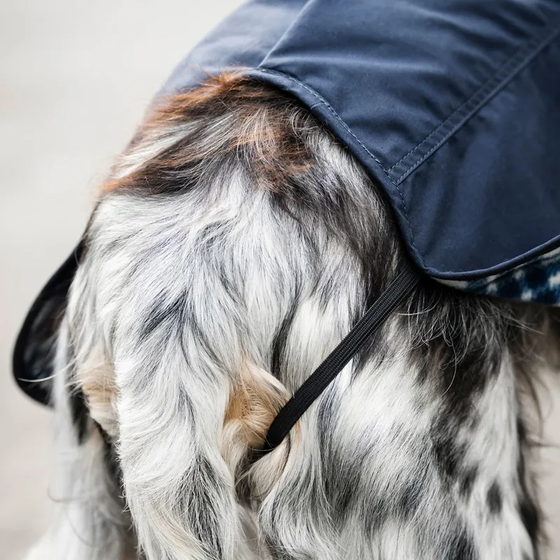 Horseware Newmarket Heritage Dog Coat - Navy/Witney Navy-12