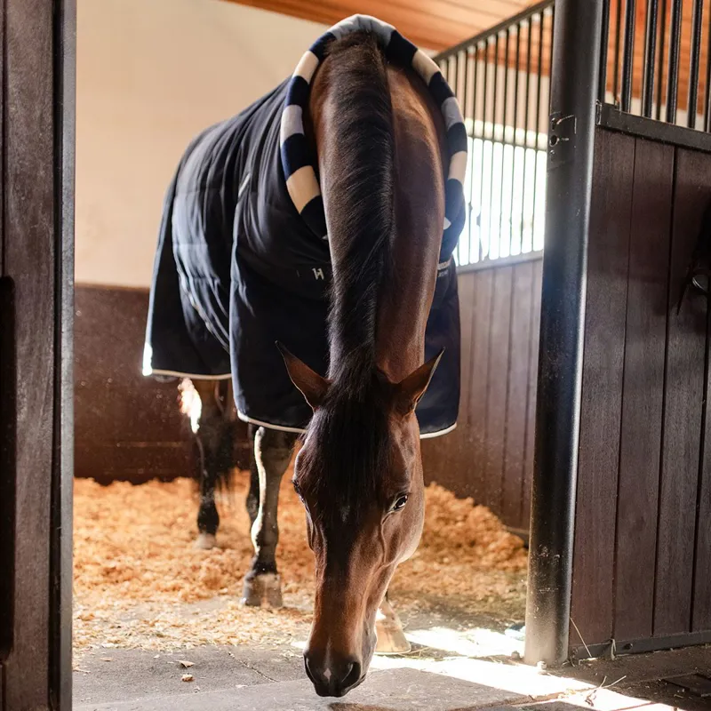 Horseware Newmarket Cosy 400g Stable Blanket - Whitney Navy-11