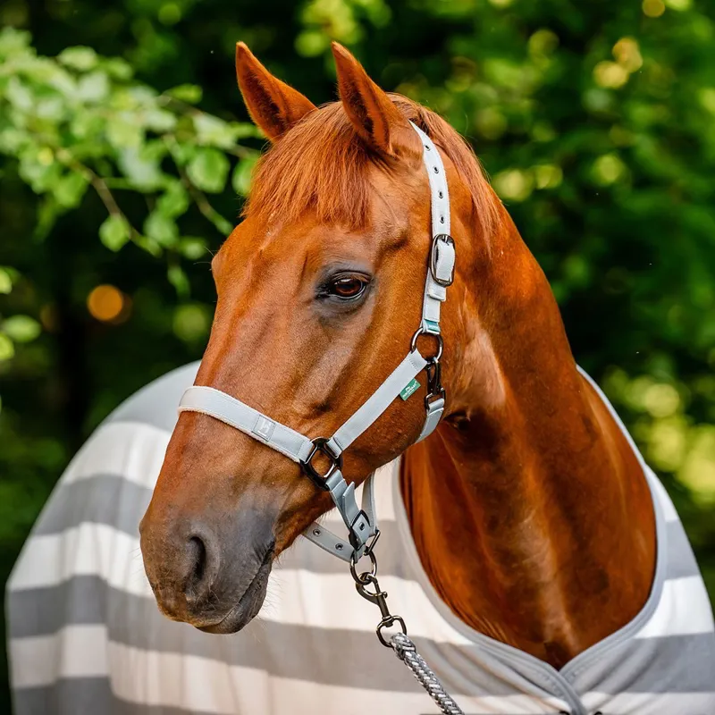 Horseware Newmarket Fleece Cooler - Witney Charcoal-1