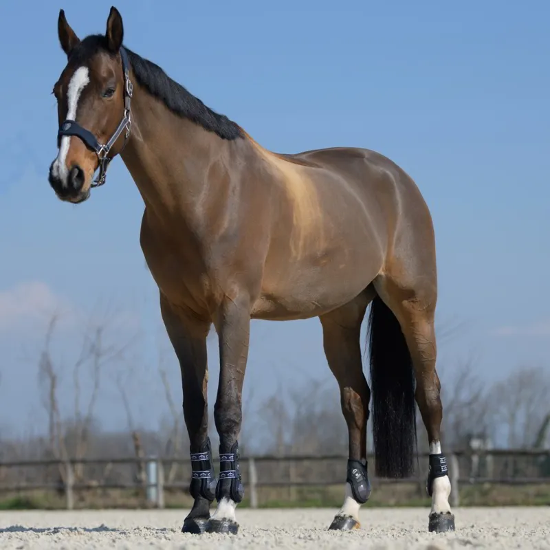Veredus Olympus Absolute Hind Fetlock Boots - Black-2