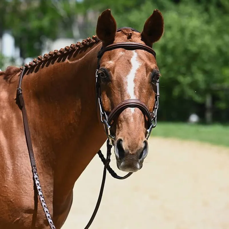 Antares Origin Hunter Bridle with Reins - Malt-1