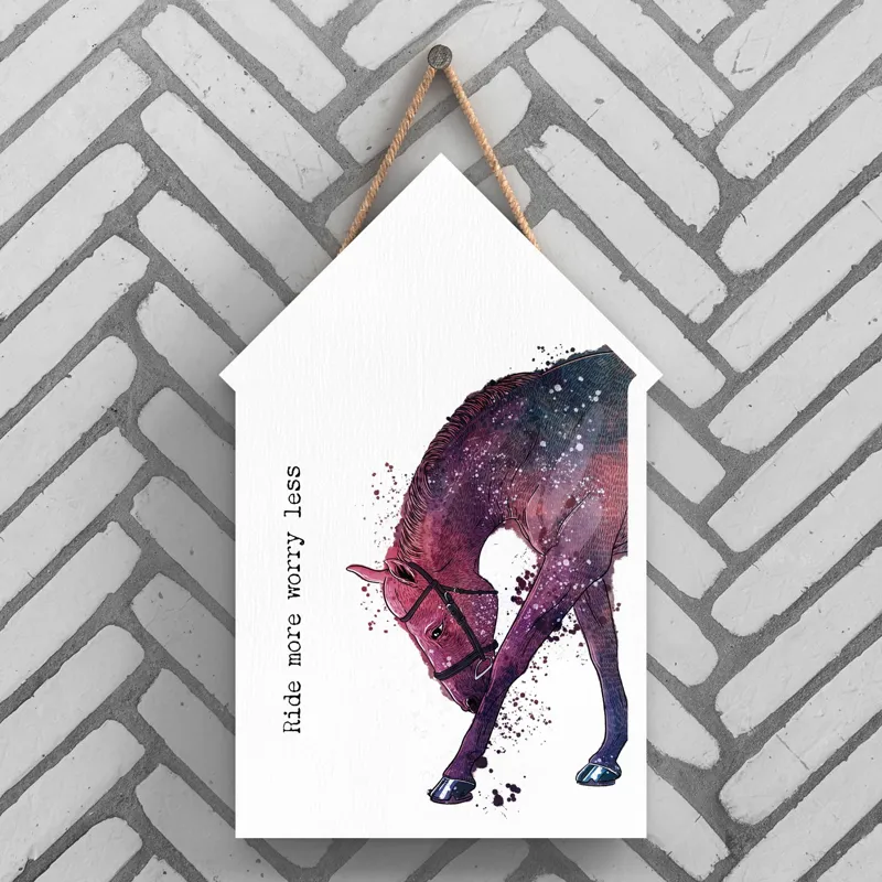 Vivid Squid Large Beach Hut Plaque - Ride More-1