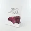 Vivid Squid Photo Panel - Horses Are Better Than Husbands