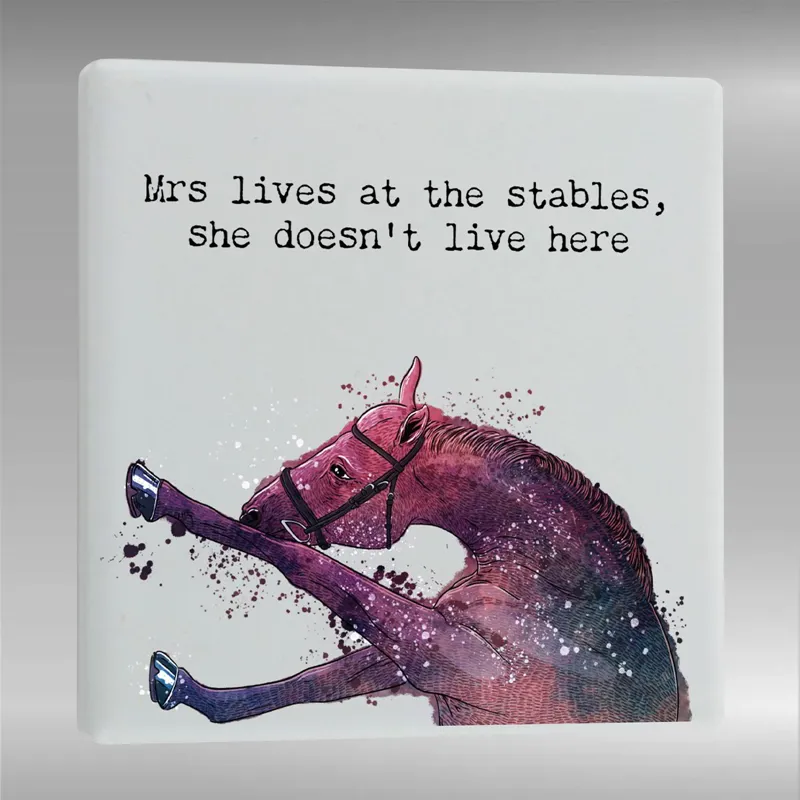 Vivid Squid Ceramic Magnet - Lives At The Stables