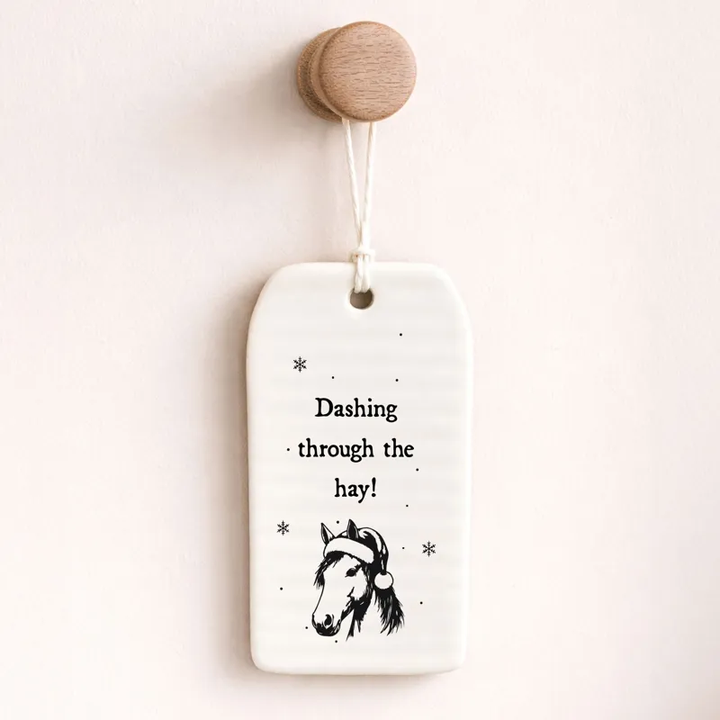 Vivid Squid Ceramic Kitchen Pendant - Dashing