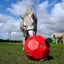 Parallax Hay Play Ball Feeder - Red