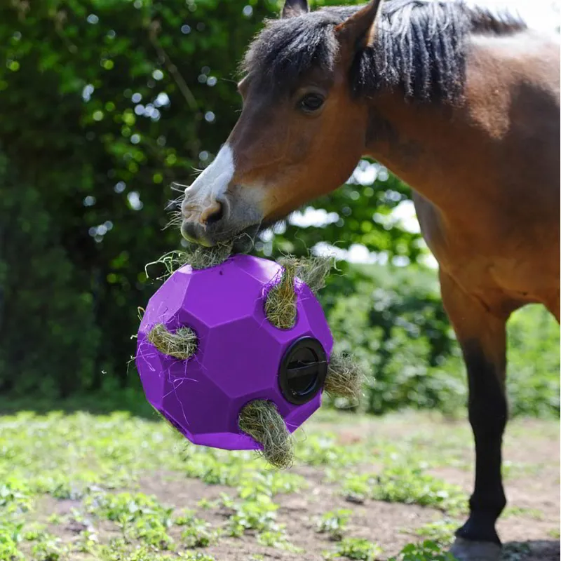 Parallax Hay Play Ball Feeder - Purple