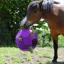 Parallax Hay Play Ball Feeder - Purple