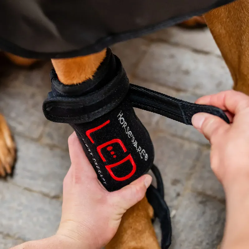 Horseware LED Red Light Therapy Pet Leg Wrap