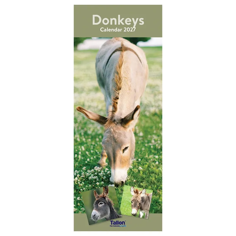 Platinum 2026 Slim Calendar - Donkeys