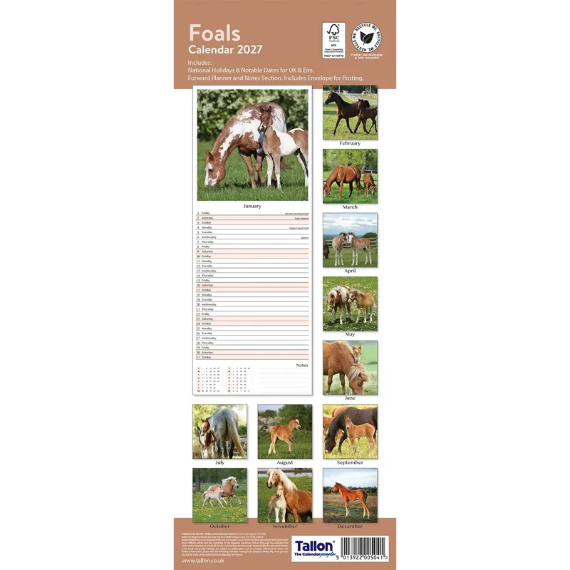 Platinum 2026 Slim Calendar - Foals-2