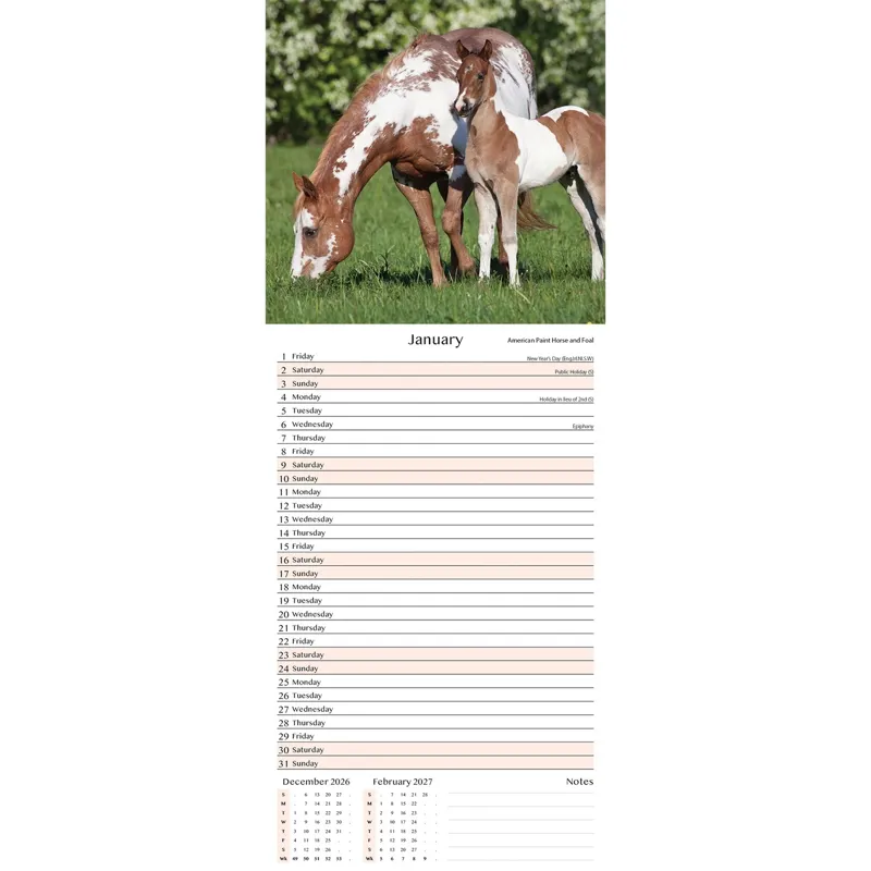 Platinum 2026 Slim Calendar - Foals-1