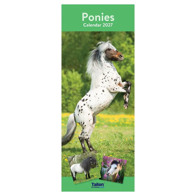 Platinum 2026 Slim Calendar - Ponies