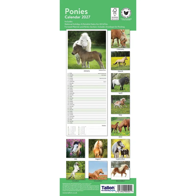 Platinum 2026 Slim Calendar - Ponies-2