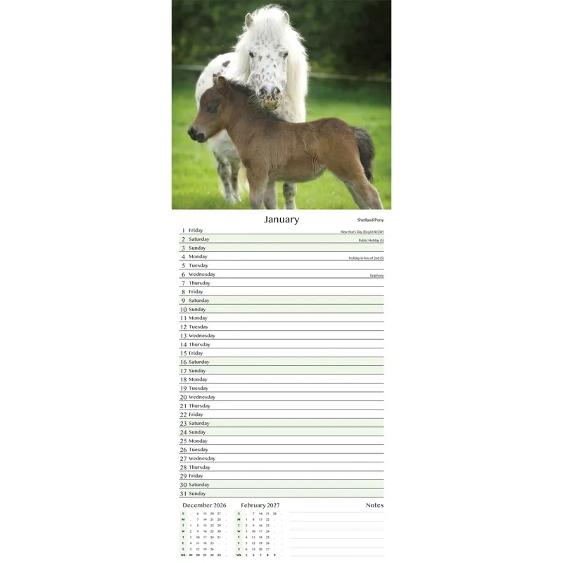 Platinum 2026 Slim Calendar - Ponies-1