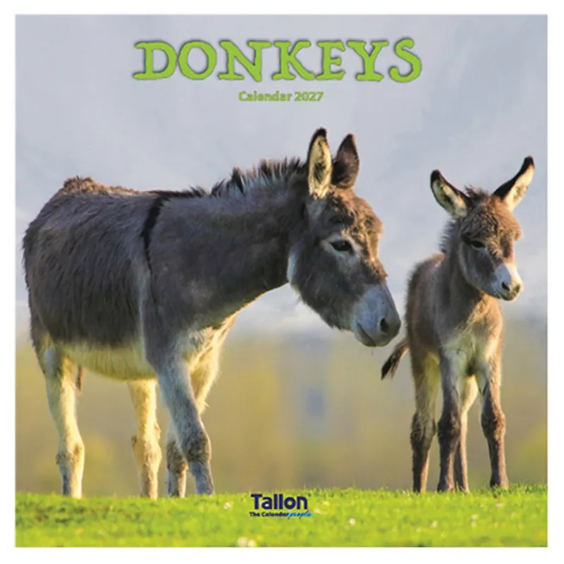 Platinum Square 2027 Calendar/Donkeys
