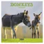 Platinum Square 2027 Calendar/Donkeys