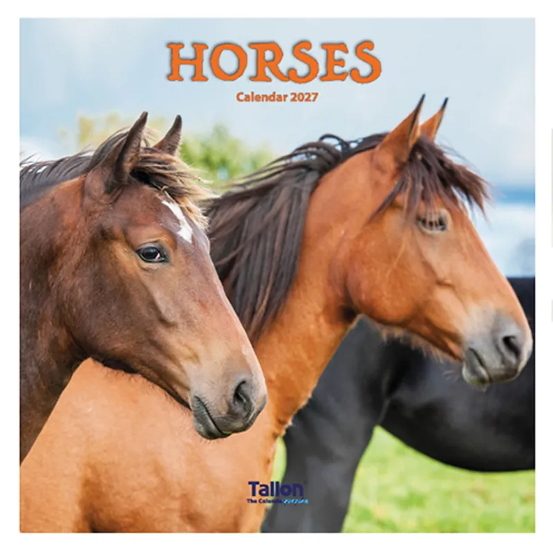 Platinum Square 2027 Calendar - Horses