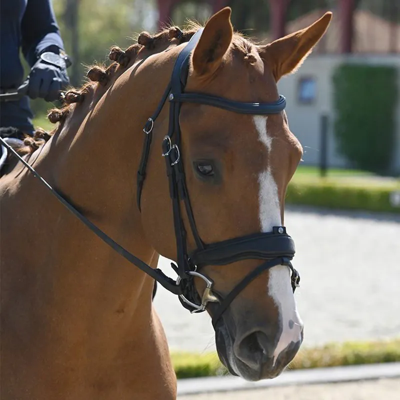 Antares Precision Large Crank Noseband Anatomic Bridle - Black-1