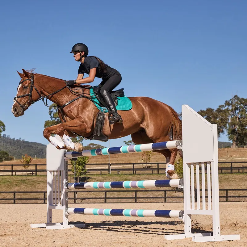 WeatherBeeta Prime Air-Tech Jump Saddle Pad - Dark Turquoise-1