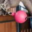Kentucky Lead Rope Clip Protection Ball Pink