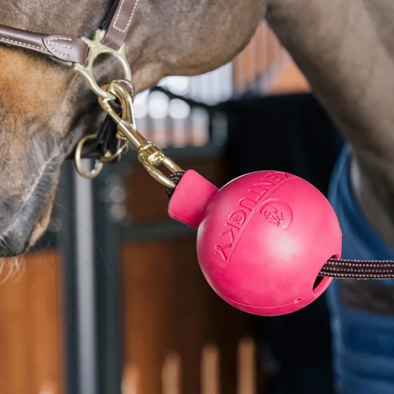 Kentucky Lead Rope Clip Protection Ball Pink-2