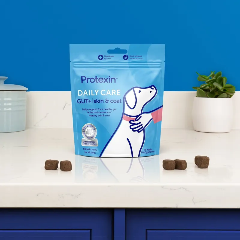 Protexin Daily Care GUT Plus Dog Supplement Skin and Coat-2