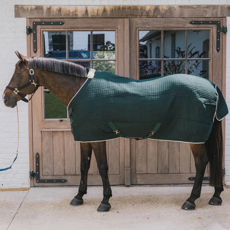 Kentucky PROTherm Cooler - Dark Green