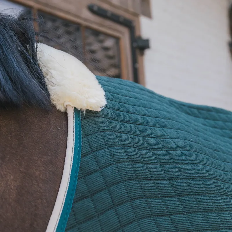 Kentucky PROTherm Cooler - Dark Green-2