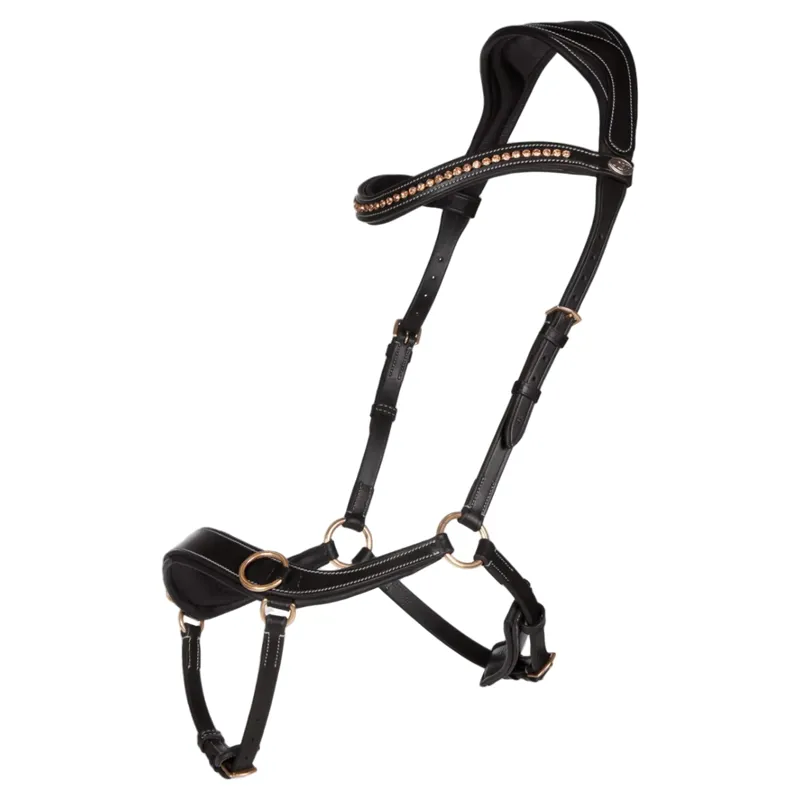 QHP Anatomical Bitless Bridle with Reins - Black