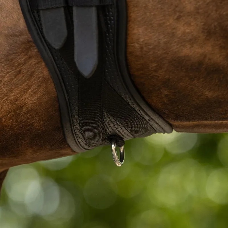QHP Basic Pro Dressage Girth - Black-4