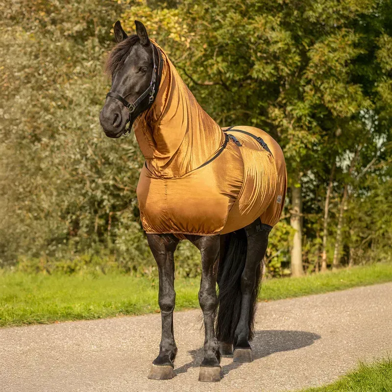 QHP Big Neck Sweet Itch Combo Neck Fly Sheet - Brown-2