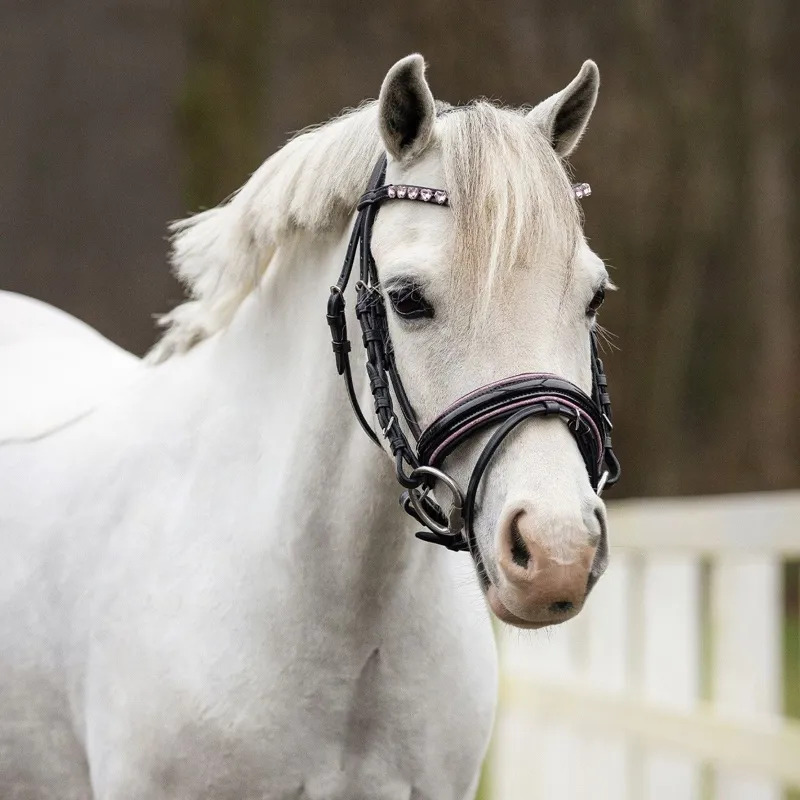 QHP Bixie Bridle with Reins - Black and Pink-3