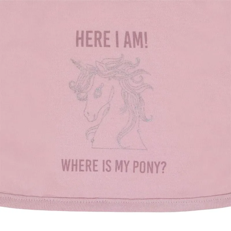 QHP Bobby Baby Bib - Desert Rose-2