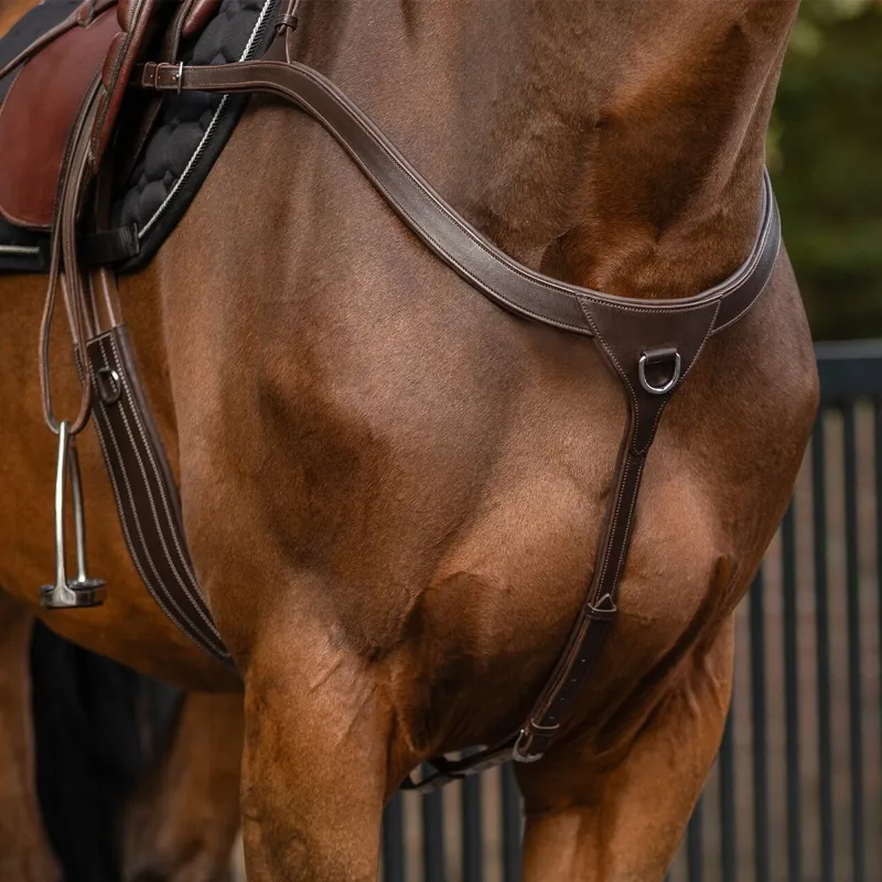 QHP Breastplate with Long Bridge - Brown-6