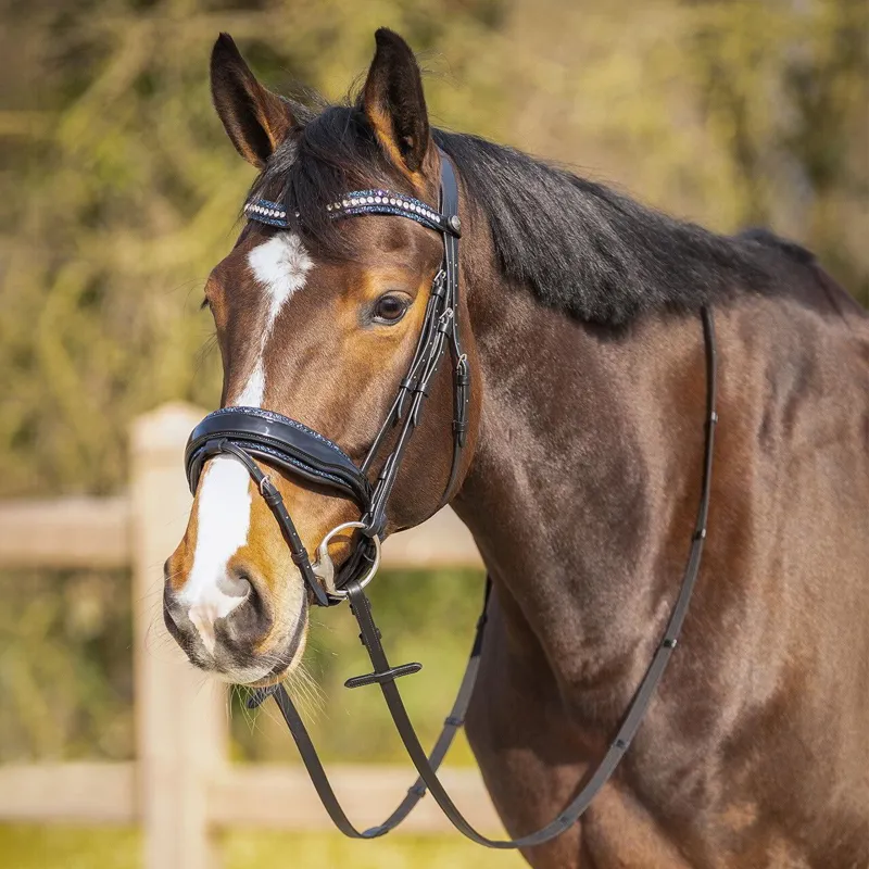 QHP Skye Browband - Black/Silver-4